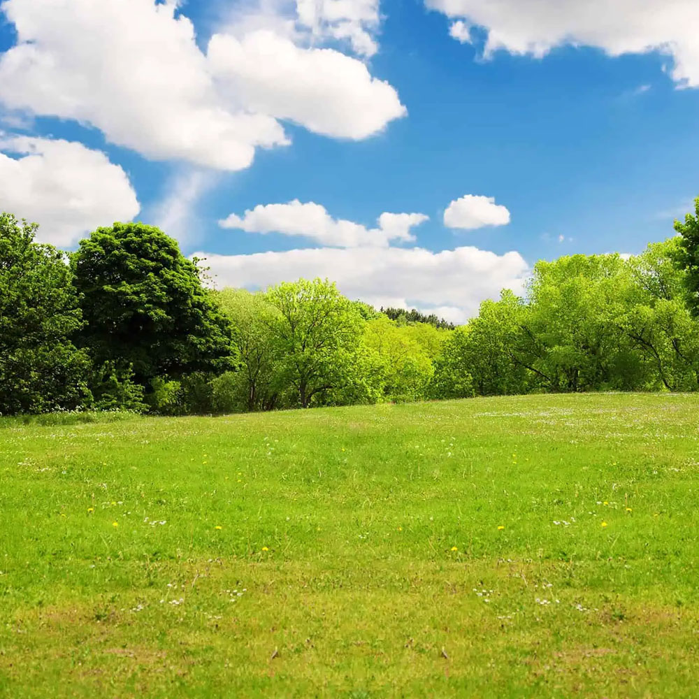 Vacant Land Insurance Rhode Island